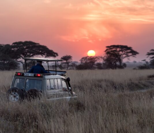 how to have a true wilderness experience on an african safari – without ‘roughing it’!