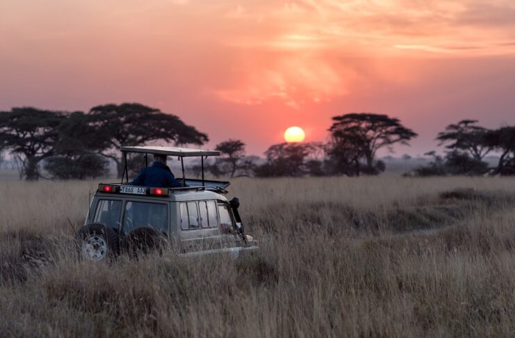 how to have a true wilderness experience on an african safari – without ‘roughing it’!